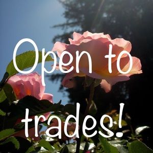 Comment trade offers on listings!